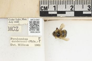 Media type: image;   Entomology 813624 Aspect: labels